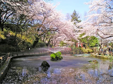 さいたま市中央区桜丘2丁目の新築一戸建(与野公園)