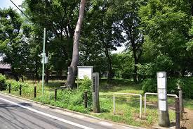 練馬区三原台1丁目の新築一戸建(田中山憩いの森)