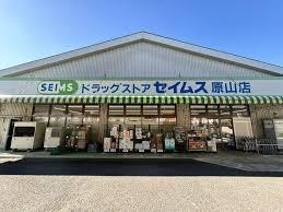 さいたま市緑区大字中尾の新築一戸建(ドラッグセイムス原山店)