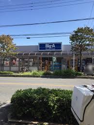 さいたま市緑区大字三室の土地(ビッグ・エー三室店)