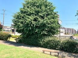和光市新倉3丁目の新築一戸建(天神ケ谷公園)