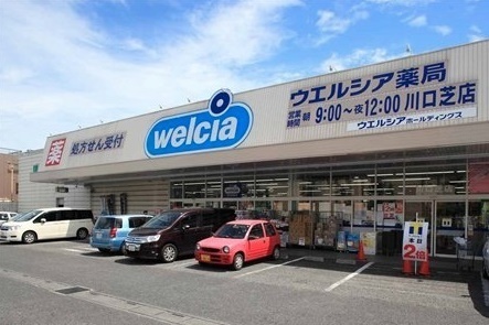 川口市芝3丁目の中古一戸建て(ウエルシア川口芝店)
