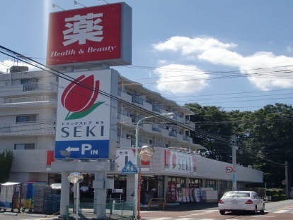 さいたま市大宮区堀の内町１丁目の新築一戸建(ドラッグストアセキ堀の内町店)