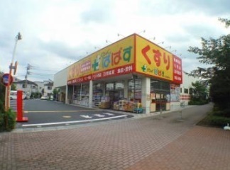 ダイアパレス赤塚公園(どらっぐぱぱす赤塚新町店)