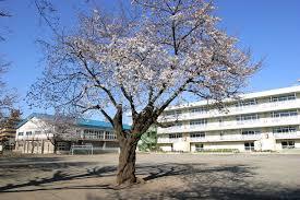 和光市下新倉3丁目の新築一戸建(和光市立白子小学校)