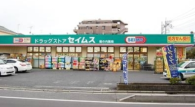 藤和シティホームズ大宮氷川参道(ドラッグセイムス堀の内薬局)