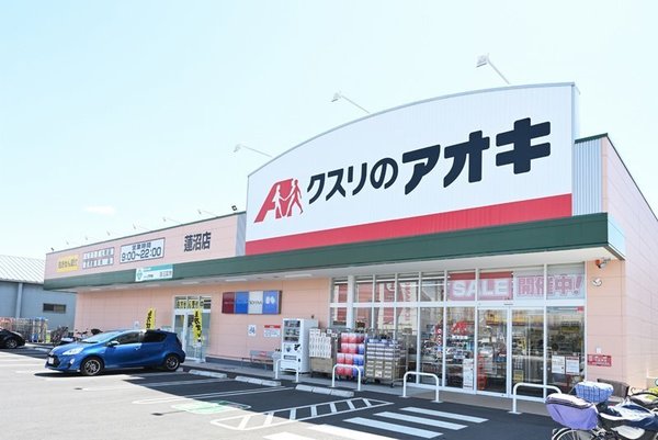 さいたま市見沼区大字蓮沼の土地(クスリのアオキ蓮沼店)