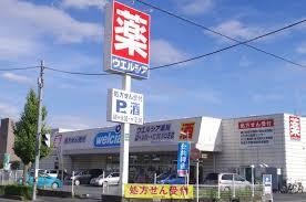当社専任 川口市芝下 新築戸建て(ウエルシア川口芝薬局)