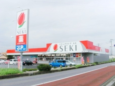 さいたま市緑区大字大門の新築一戸建(ドラッグストアセキ東大門店)