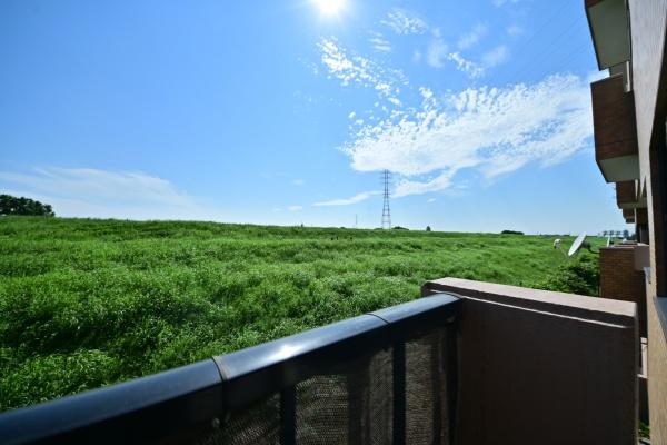 ライオンズガーデン西浦和　D棟