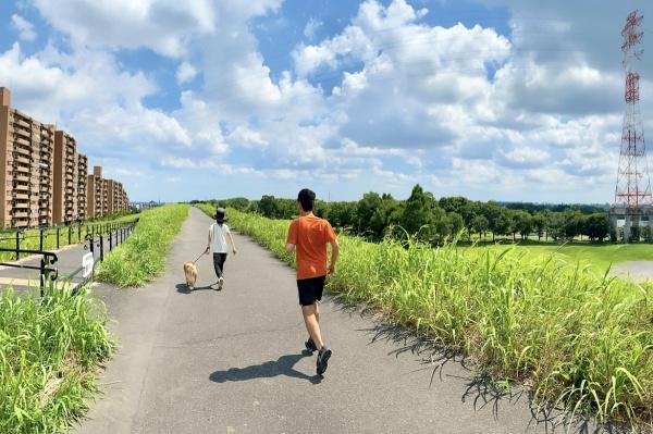 ライオンズガーデン西浦和