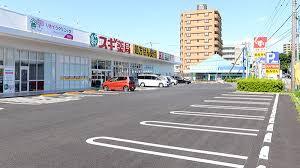 さいたま市桜区南元宿1丁目の土地(スギ薬局南元宿店)