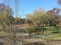 さいたま市岩槻区大字馬込の中古一戸建て(アーバンみらい公園)