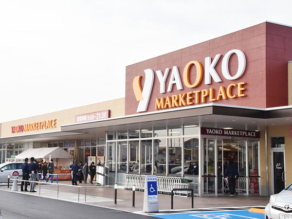 さいたま市西区大字内野本郷の土地(ヤオコー西大宮店)