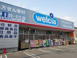 川口市柳根町の中古一戸建て(ウエルシア川口北園店)