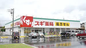 さいたま市岩槻区上里2丁目の土地(スギ薬局岩槻店)