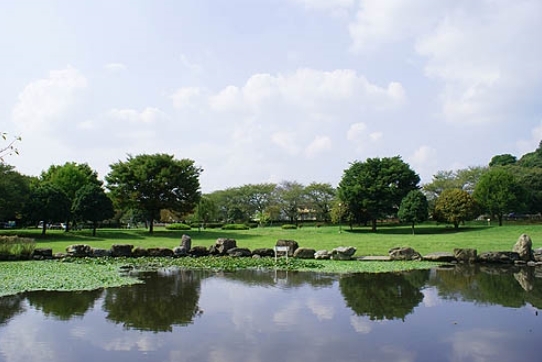 さいたま市緑区馬場２丁目の土地(見沼氷川公園)