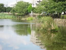 市川大野パークホームズ７F(こざと北公園)