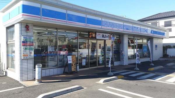 とよはる台サンハイツＧ棟(ローソン岩槻南平野店)