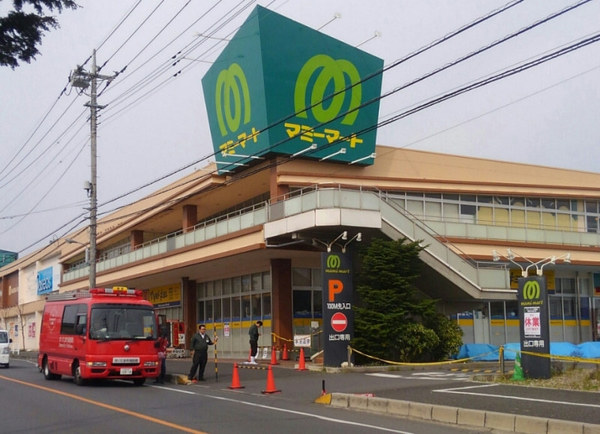 さいたま市岩槻区城町２丁目の中古一戸建て(マミーマート岩槻店)