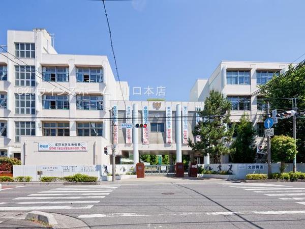 川口市西青木４丁目の土地(川口市立青木中学校)