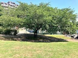 リーベスト和光(天神ヶ谷戸公園)