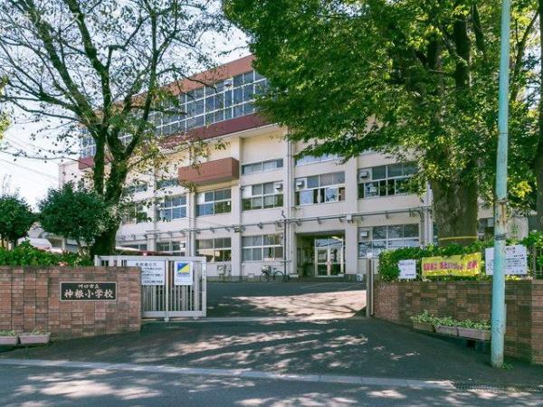 川口市大字道合の中古一戸建て(川口市立神根小学校)