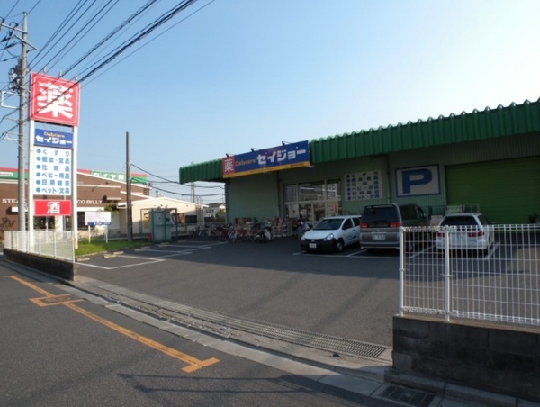 川口市柳崎２丁目の中古一戸建て(デイリーケアセイジョー浦和円正寺店)
