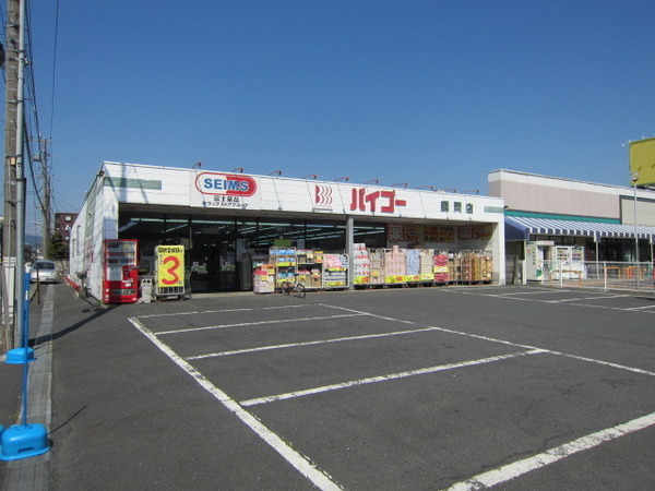 ダイアパレス河辺(ドラッグセイムス師岡店)