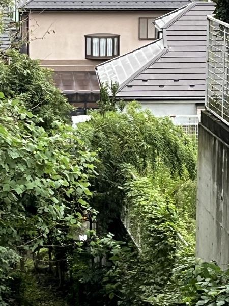 あきる野市油平の土地