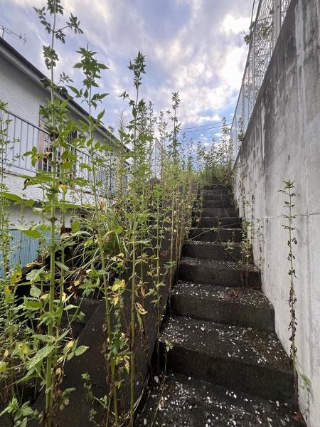 あきる野市油平の土地