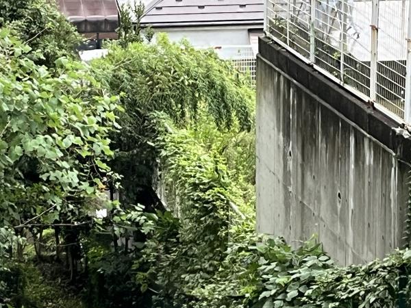あきる野市油平の土地