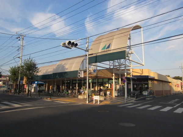拝島の家全2棟A号棟(マルフジ南田園店)
