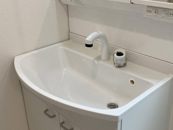 ハートフルタウン日の出町平井全2棟1号棟