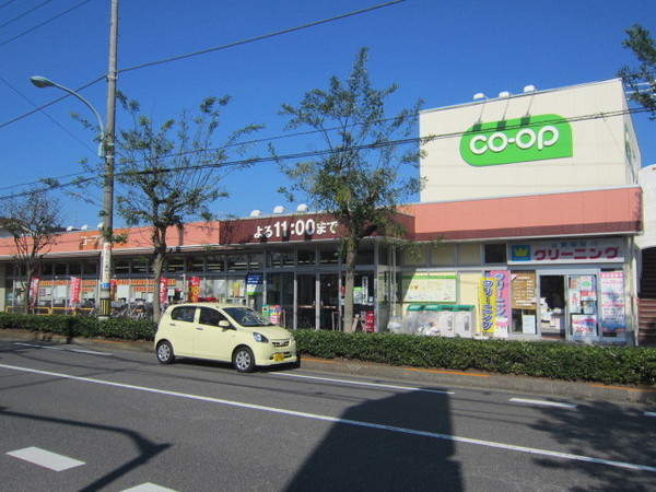 グローバルガーデン青梅市新町4期2号棟(コープ青梅新町店)