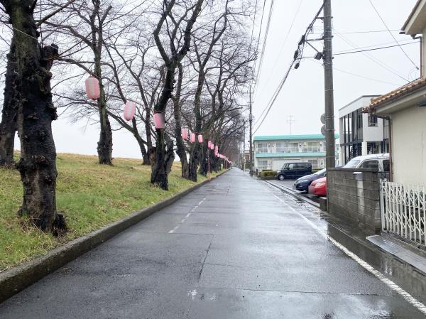 福生市南田園1丁目新築全1棟