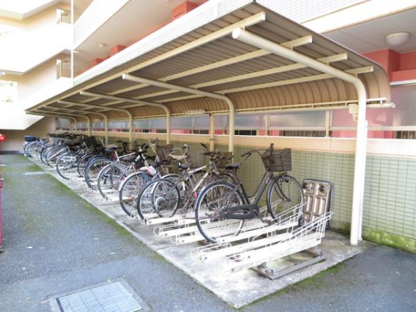 アルシオン河辺