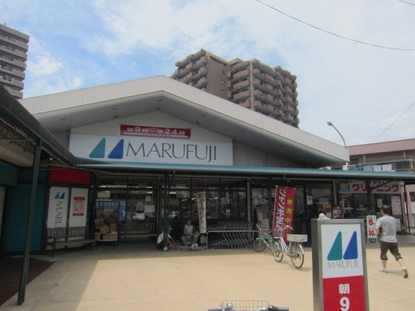 ワコーレ河辺2(マルフジ東青梅店)