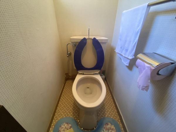 西多摩郡日の出町大字平井の中古一戸建て(トイレ)