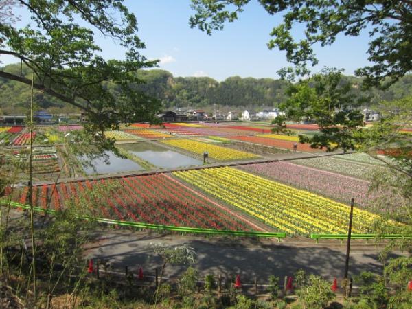 GRAFARE羽村市羽加美4期全15区画　12号棟(根がらみ前水田)