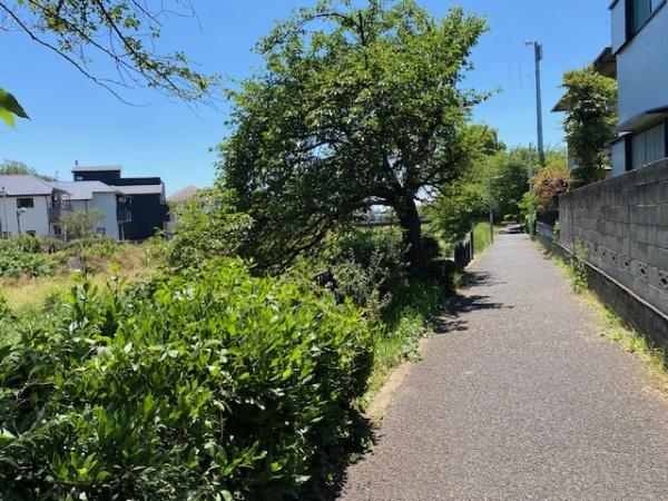 三鷹市大沢５丁目の中古一戸建て(野川)