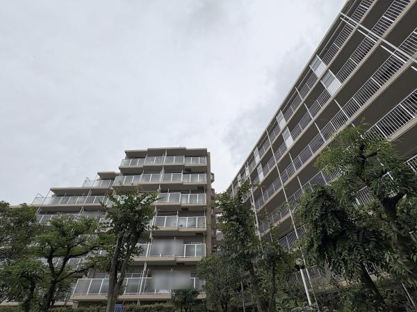 グリーンシティバームハイツ河辺