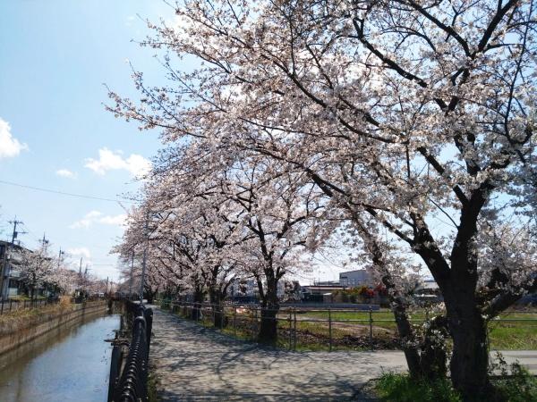 川柳町一丁目売地