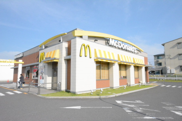 大成町二丁目新築戸建て(マクドナルド越谷レイクタウン店)