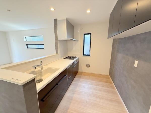 大成町二丁目新築戸建て