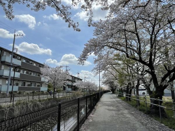 川柳町一丁目売地