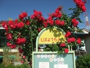 高槻市栄町３丁目の新築一戸建(芝生幼稚園)
