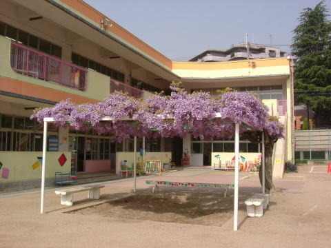 高槻市安満中の町の新築一戸建(磐手幼稚園)