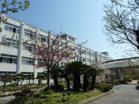 高槻市野田3丁目の土地(高槻市立北大冠小学校)