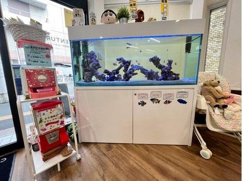 レオ高槻　3階部分